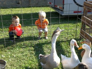 Kids with Geese