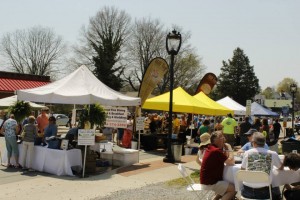 9th Annual Lake Country Wine Festival